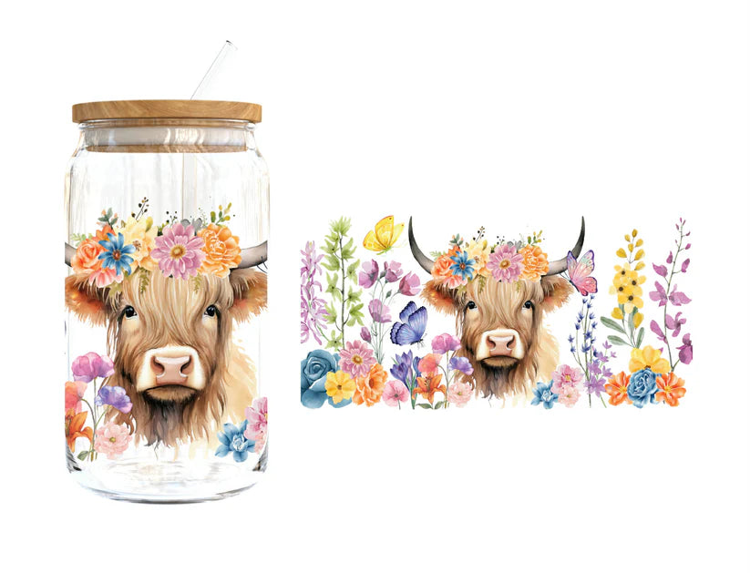 Highland Cow